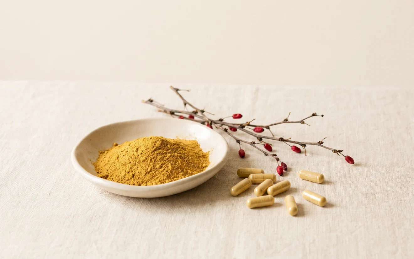 Berberine powder with barberry branches and capsules