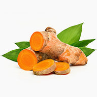 Turmeric Powder