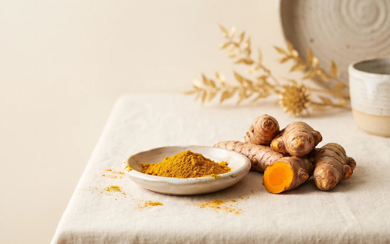 Fresh turmeric root with golden turmeric powder